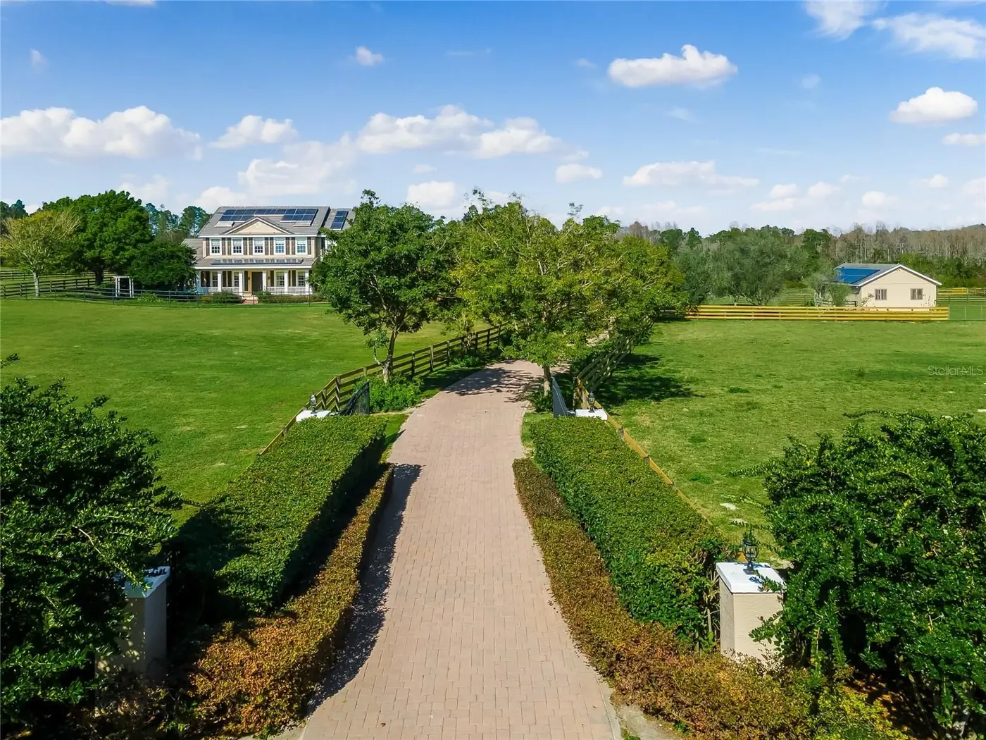 Horse Farm and Orange Grove, Tampa Bay
